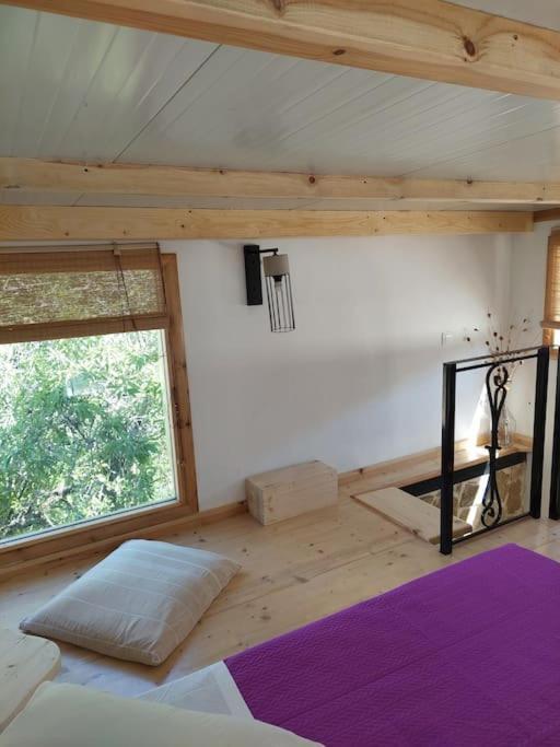 Afionas Das Gruene Haus 외부 사진